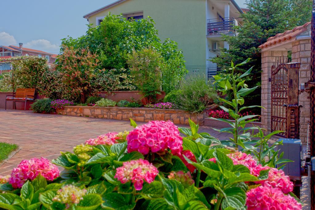 Apartments Daniela Novigrad  Bagian luar foto