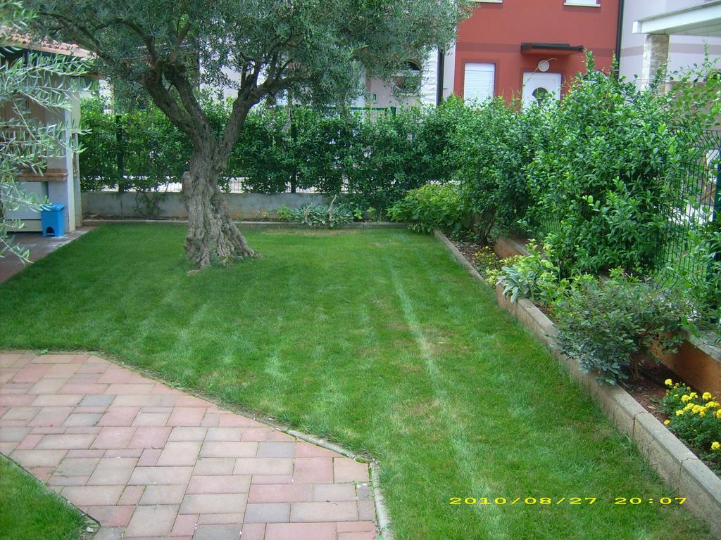 Apartments Daniela Novigrad  Bagian luar foto