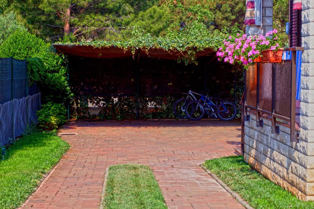 Apartments Daniela Novigrad  Bagian luar foto